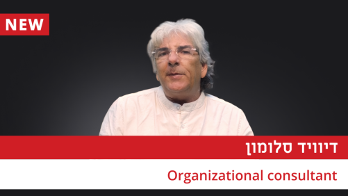 פוליטיקה ארגונית