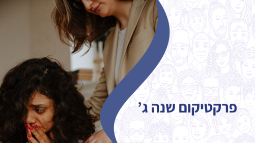 פרקטיקום - שנה ג'