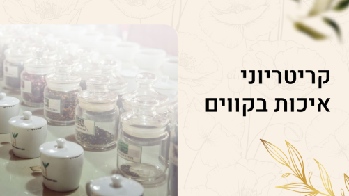 קריטריוני איכות בקווים