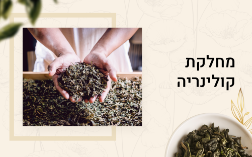 מחלקת קולינריה