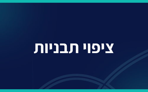 ציפוי תבניות