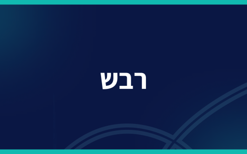 רב״ש