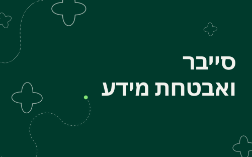 C290426ER - סייבר