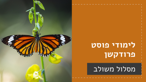 לימודי פוסט פרודקשן