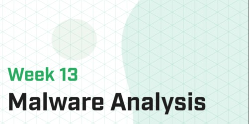Part 13 - Malware Analysis I