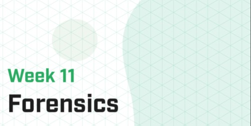 Week 11 - Forensics I (Master)