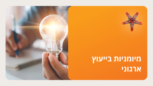 מיומניות בייעוץ ארגוני