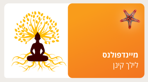 מיינדפולנס - מודעות קשובה