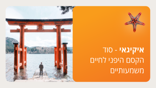 איקיגאי - סמסטר ג