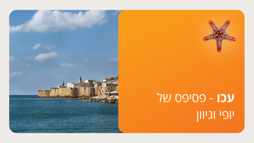 עכו - פסיפס של יופי וגיוון - סמסטר ג'
