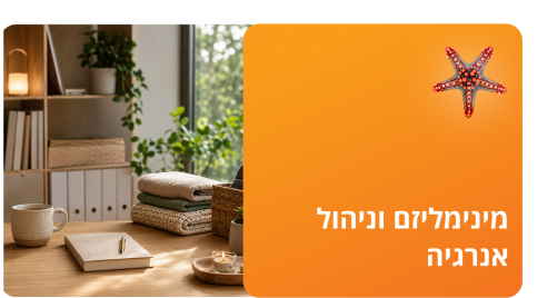 מינימליזם וניהול אנרגיה