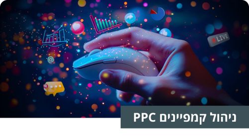 ניהול קמפיינים PPC