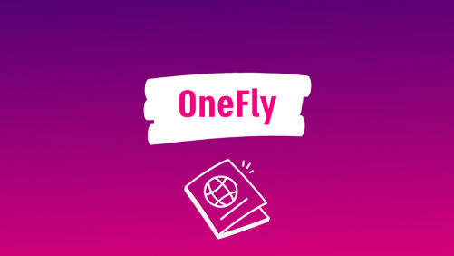 OneFly